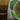 -10% MATCHA  DAILY.