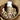 -30% CORDYCEPS.