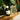PARALEX VINEGAR.